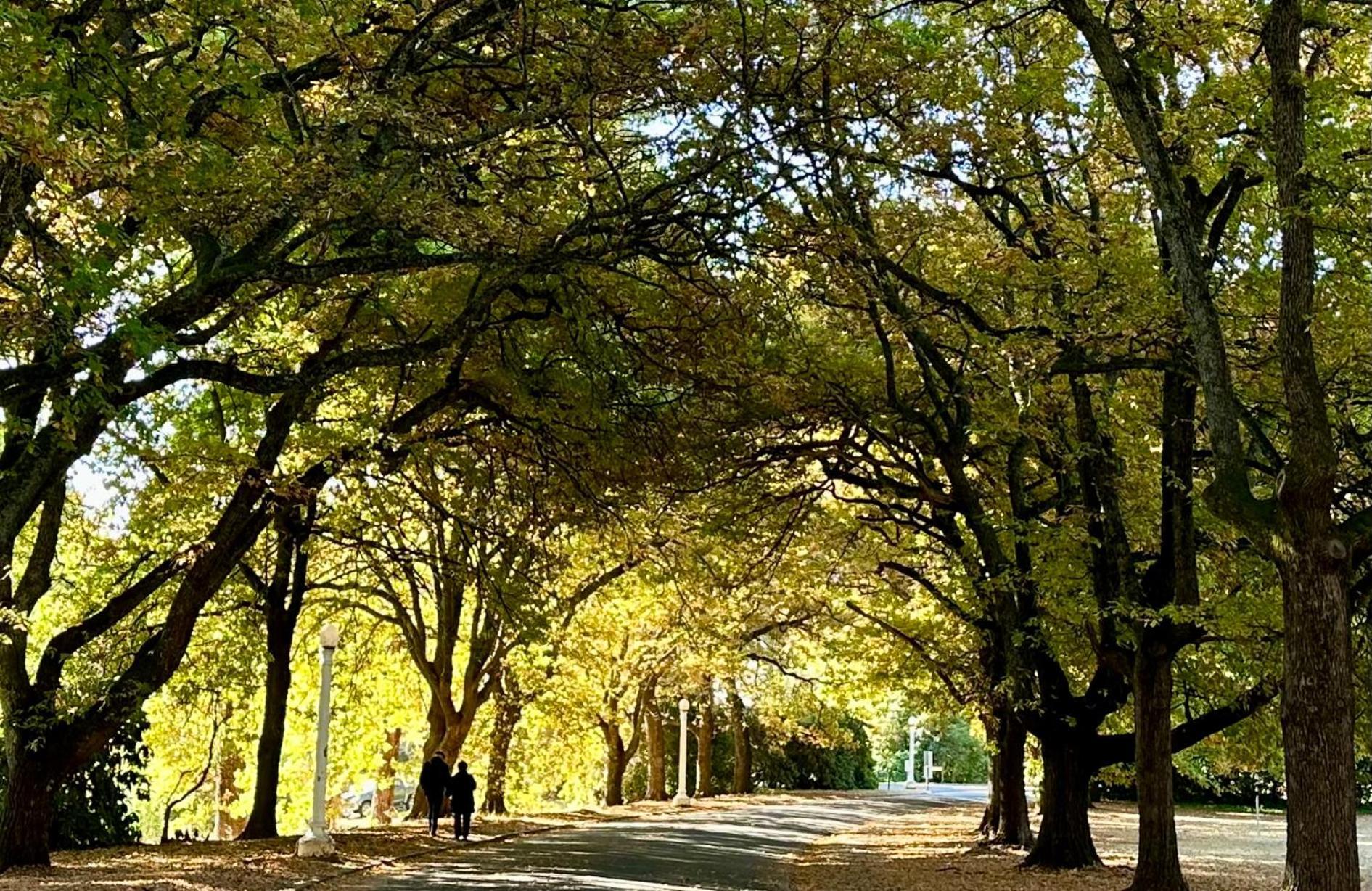 The Grand Oaks Resort Beechworth Luaran gambar