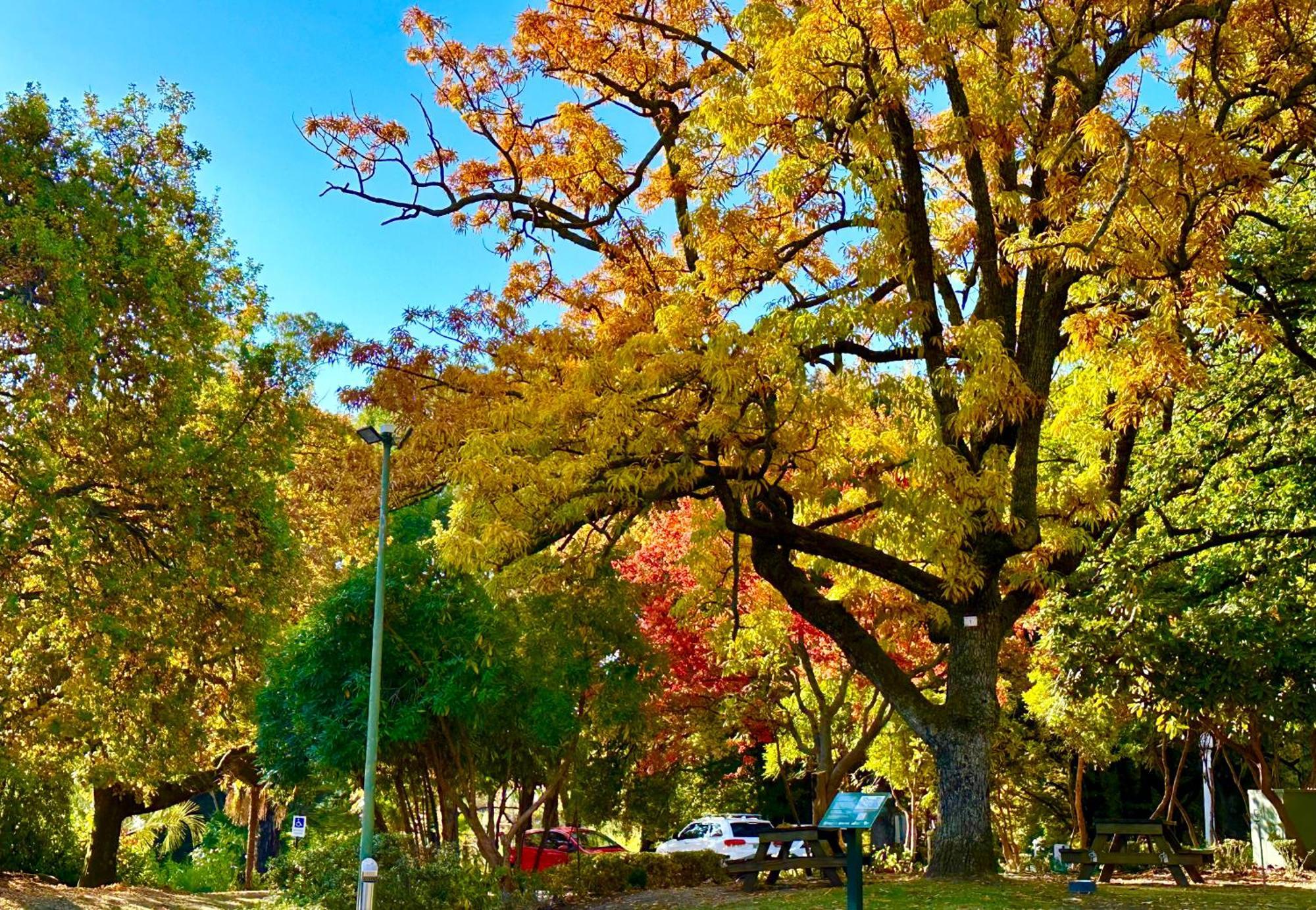 The Grand Oaks Resort Beechworth Luaran gambar