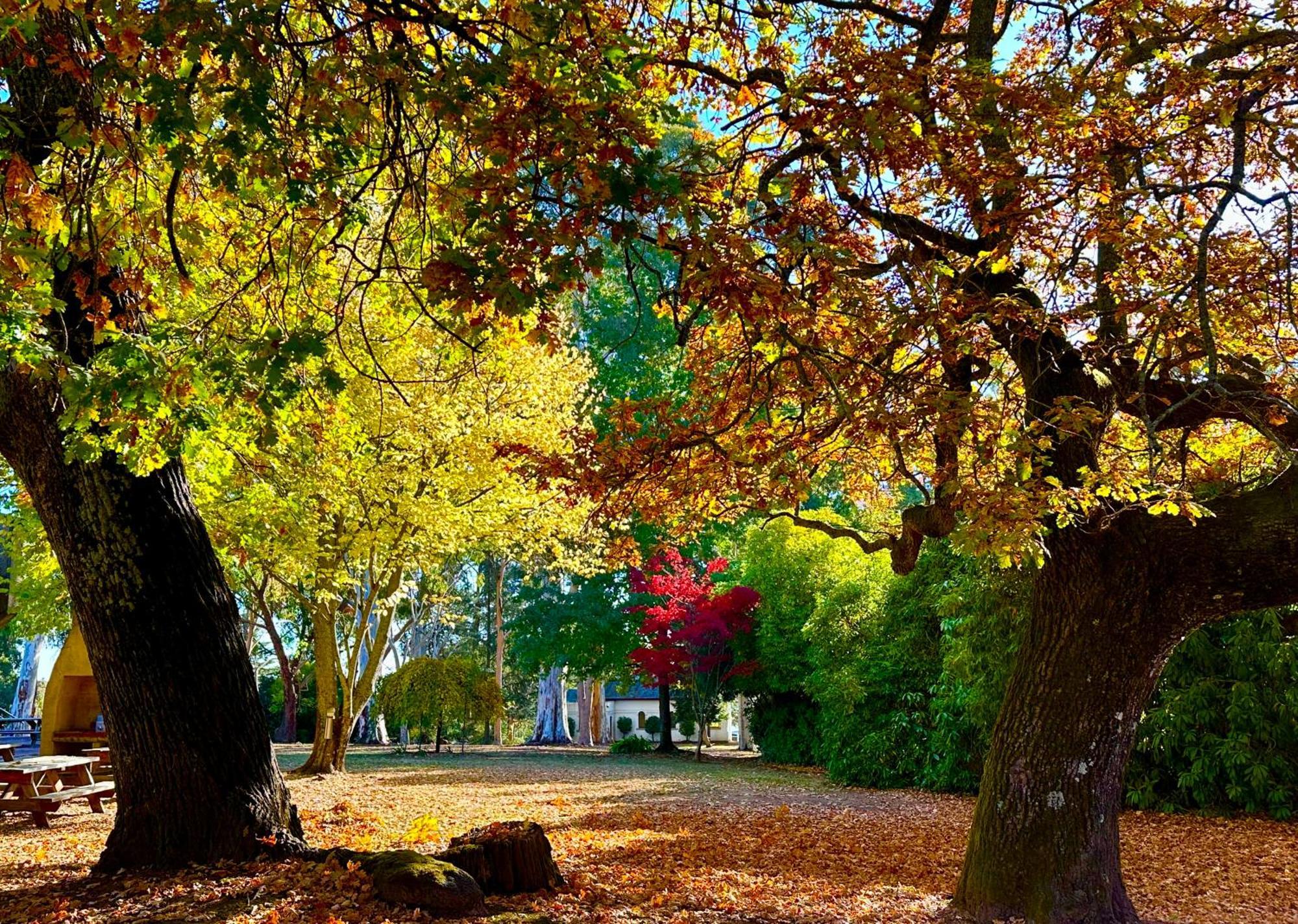 The Grand Oaks Resort Beechworth Luaran gambar