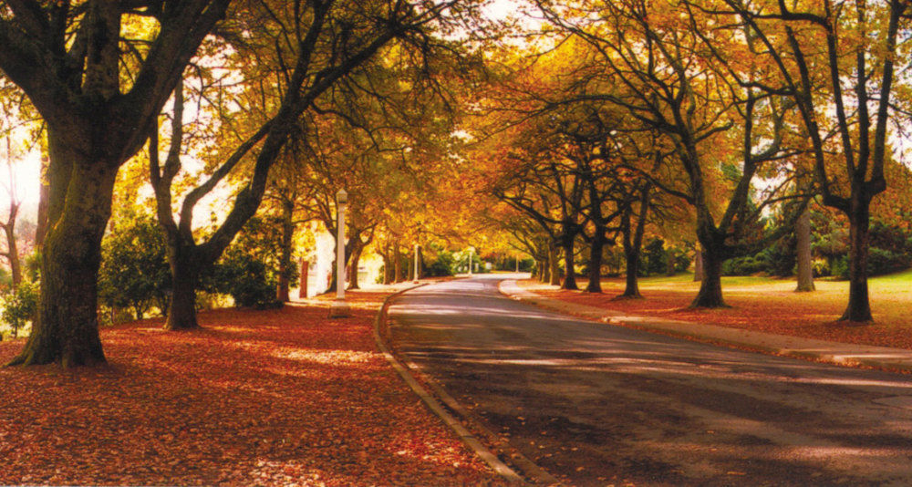 The Grand Oaks Resort Beechworth Luaran gambar